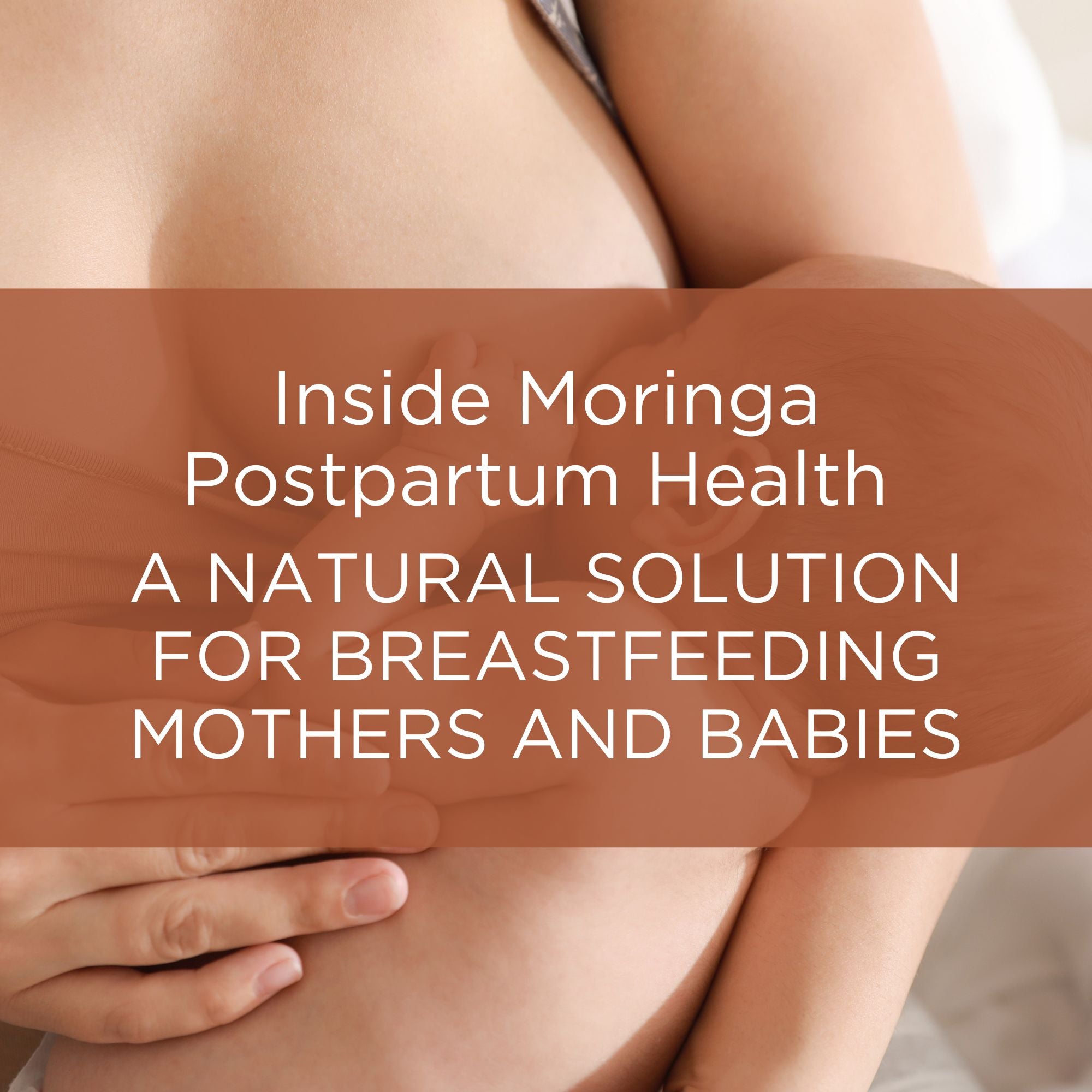 moringa benefits for postpartum and breastfeeding