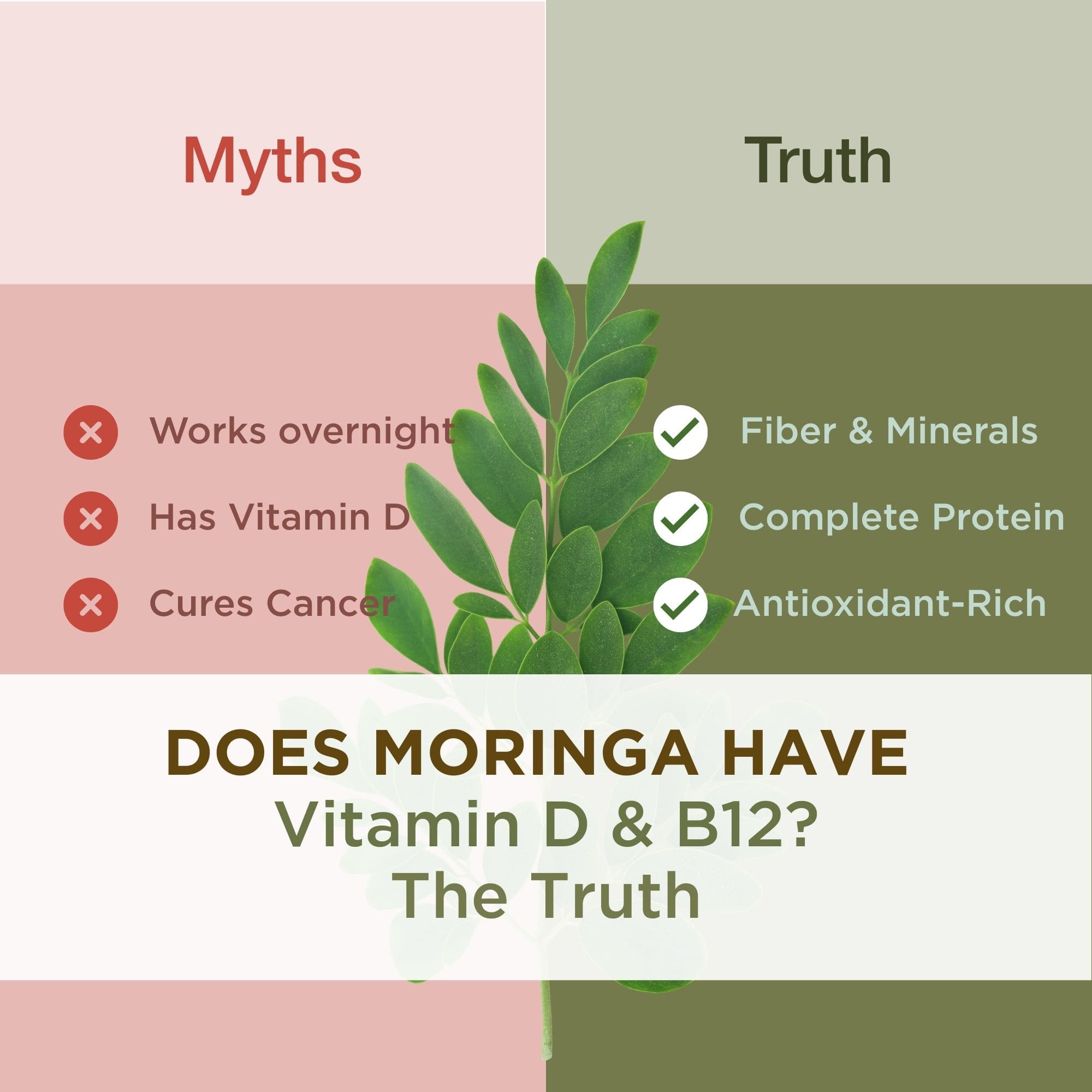 Moringa myths versus facts comparison showing what Moringa contains and doesn't contain based on scientific research