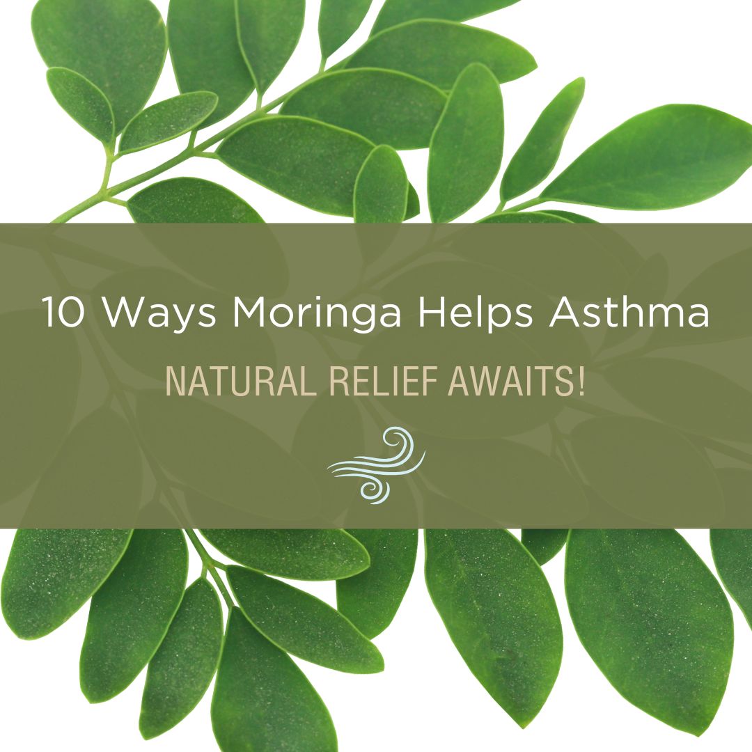 Main image for Moringa for Asthma post showing a person with Moringa tea and leaves, highlighting 10 asthma benefits