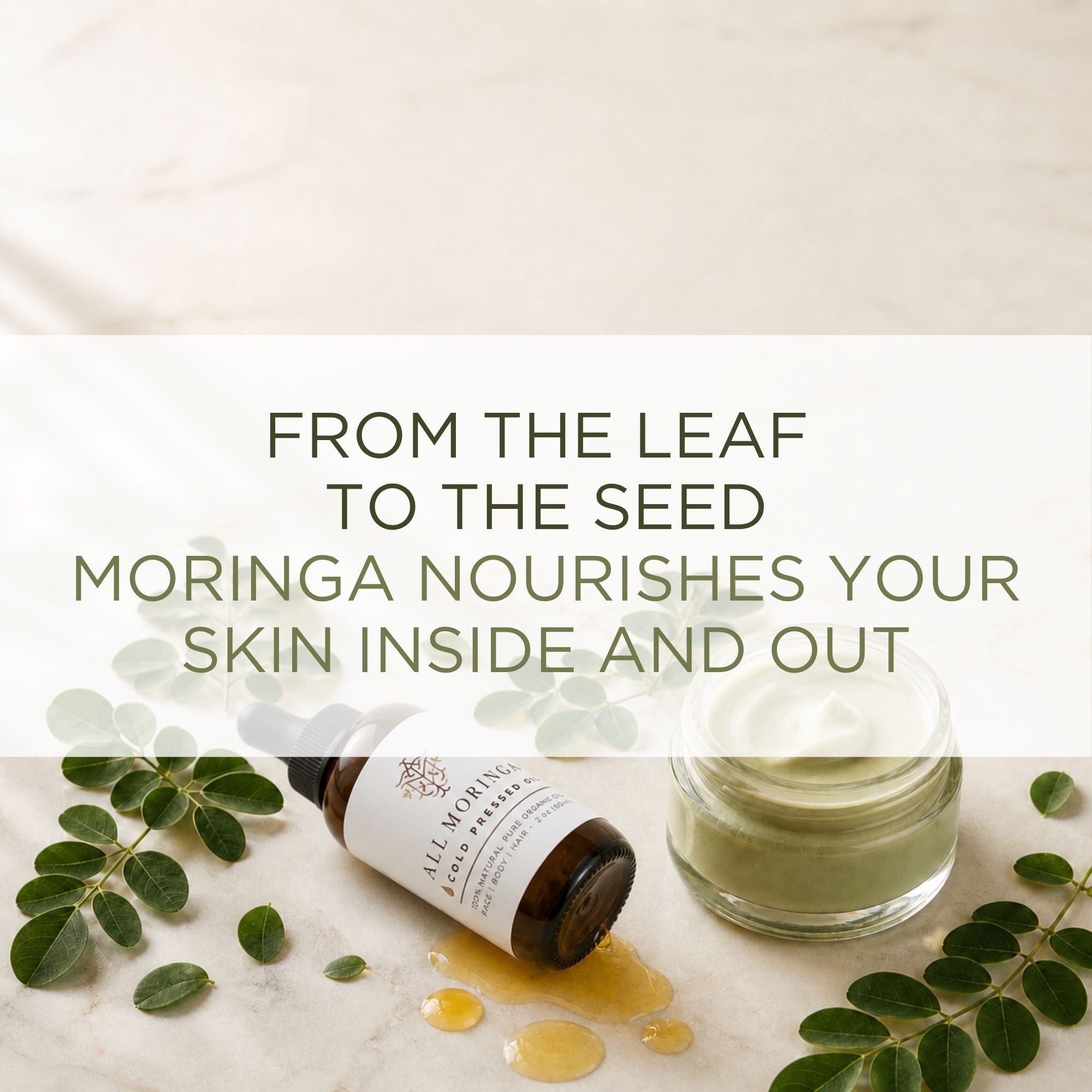 moringa for skincare nutrition