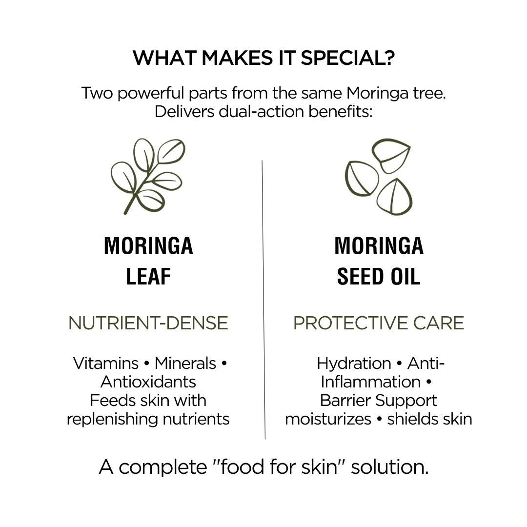 Text detailing the special qualities of Moringa leaf and seed oil with icons on a white background.