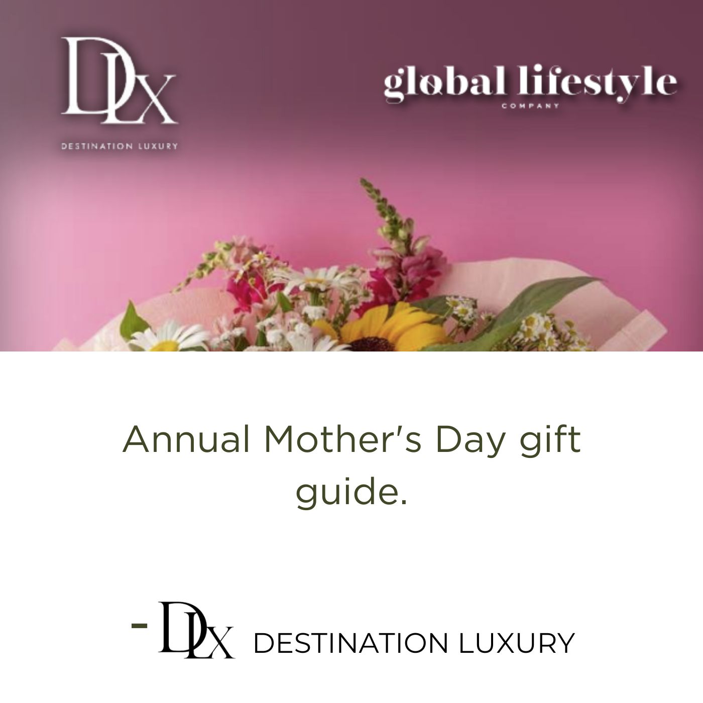 buy all moringa products destination luxury magazine