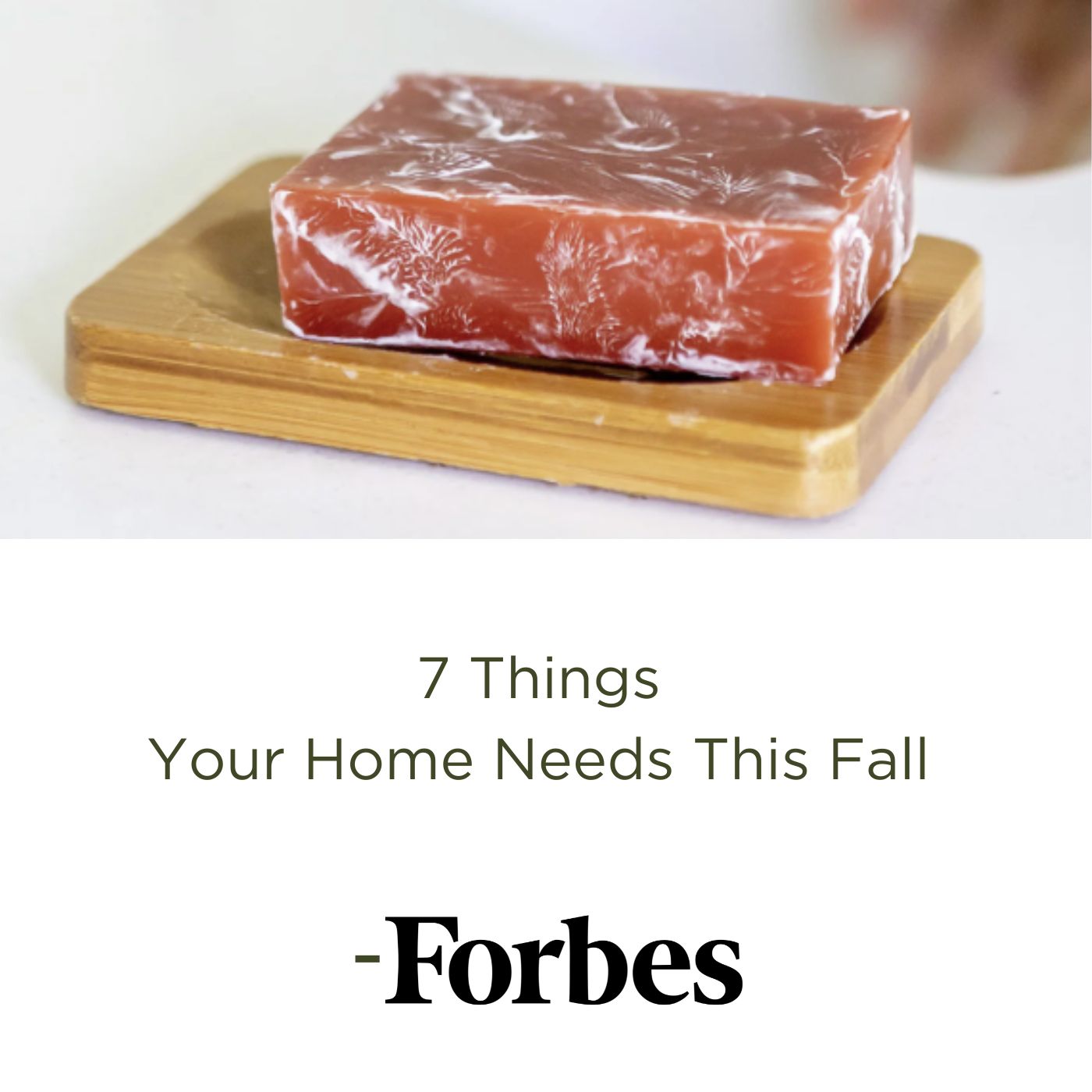buy all moringa products Forbes magazine