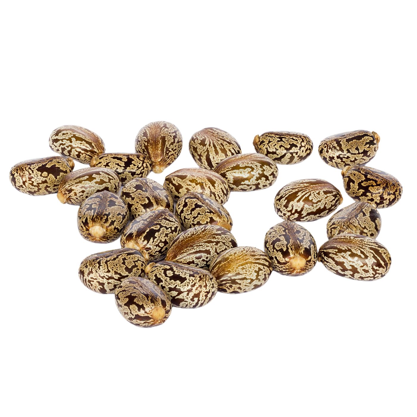 castor seeds oil for skin