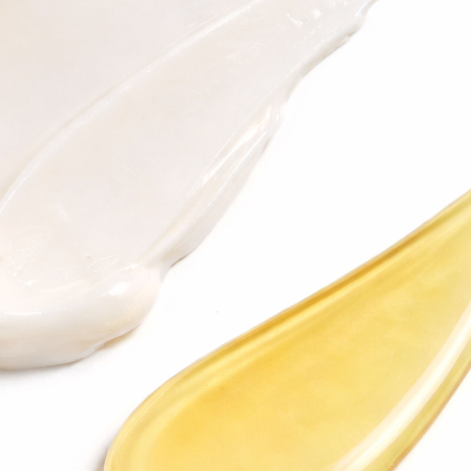 Close-up of a white moringa cream texture and a yellow moringa oil texture on a white background