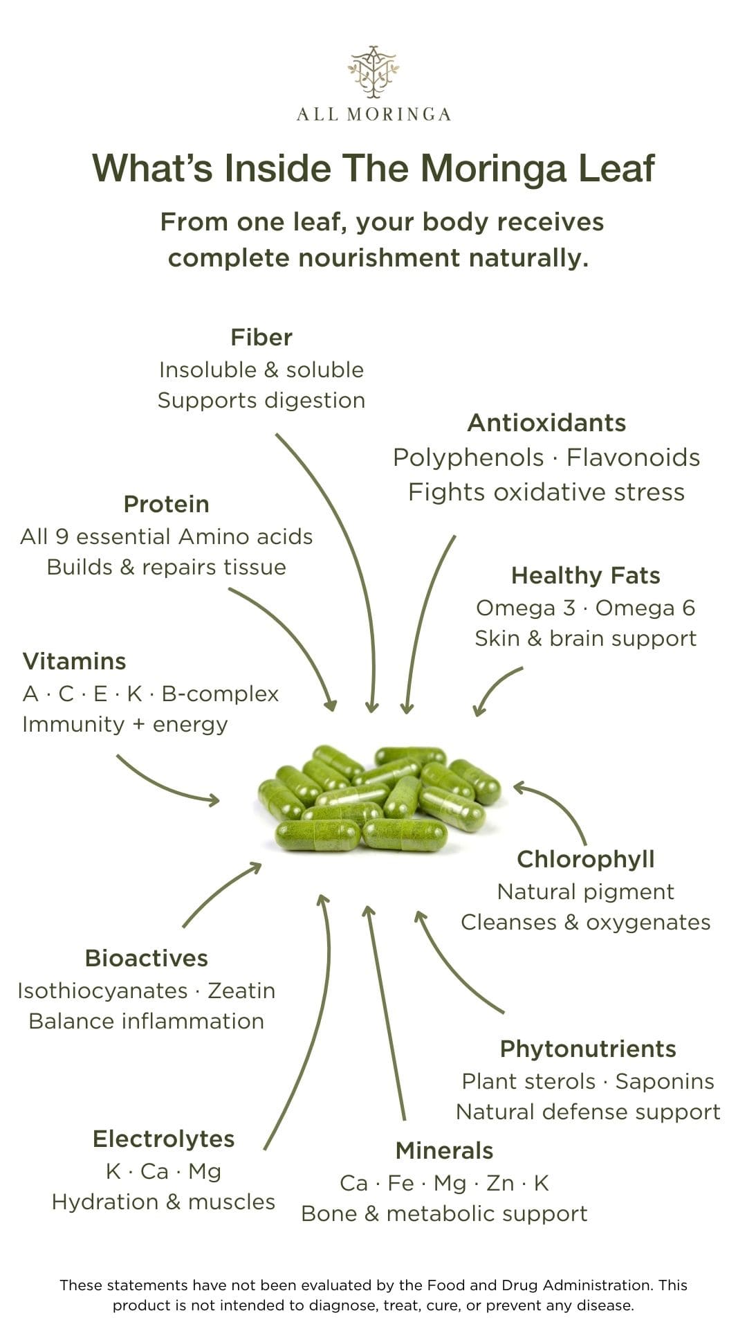 Diagram of the nutritional benefits of the Moringa leaf from All Moringa, detailing various nutrients and their health benefits.