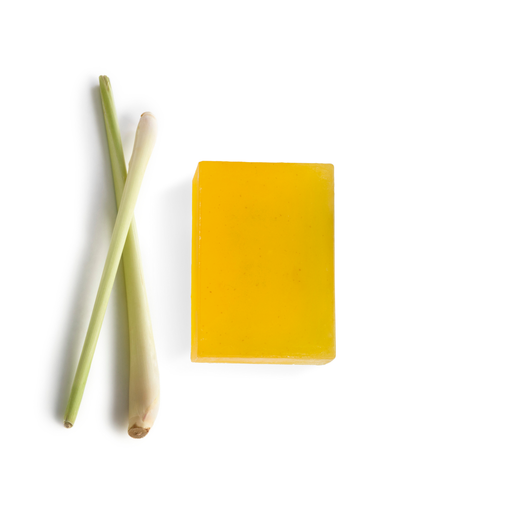 best moringa soap bar for moisturizing the skin
