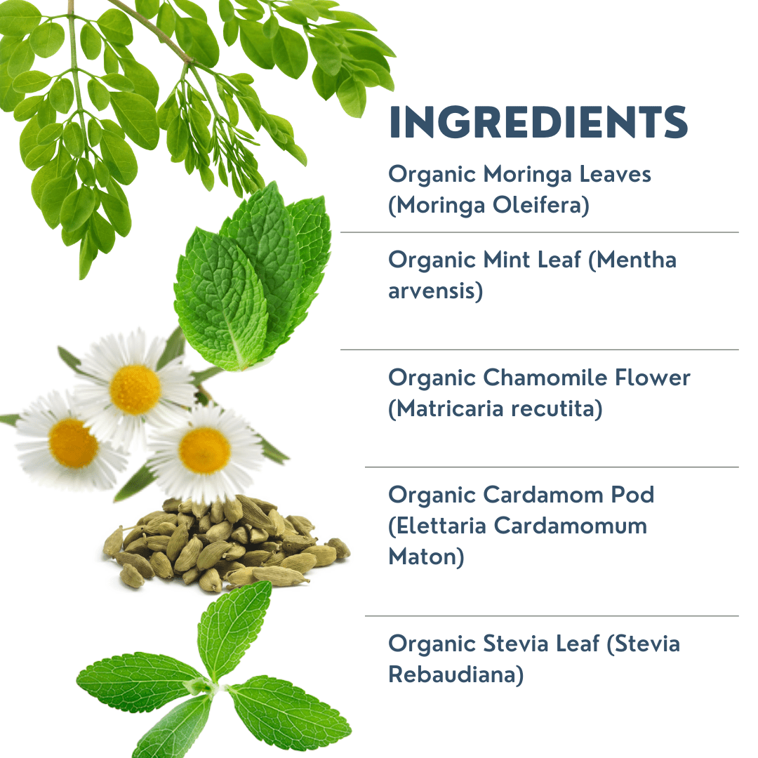 Moringa mint and chamomile tea ingredients
