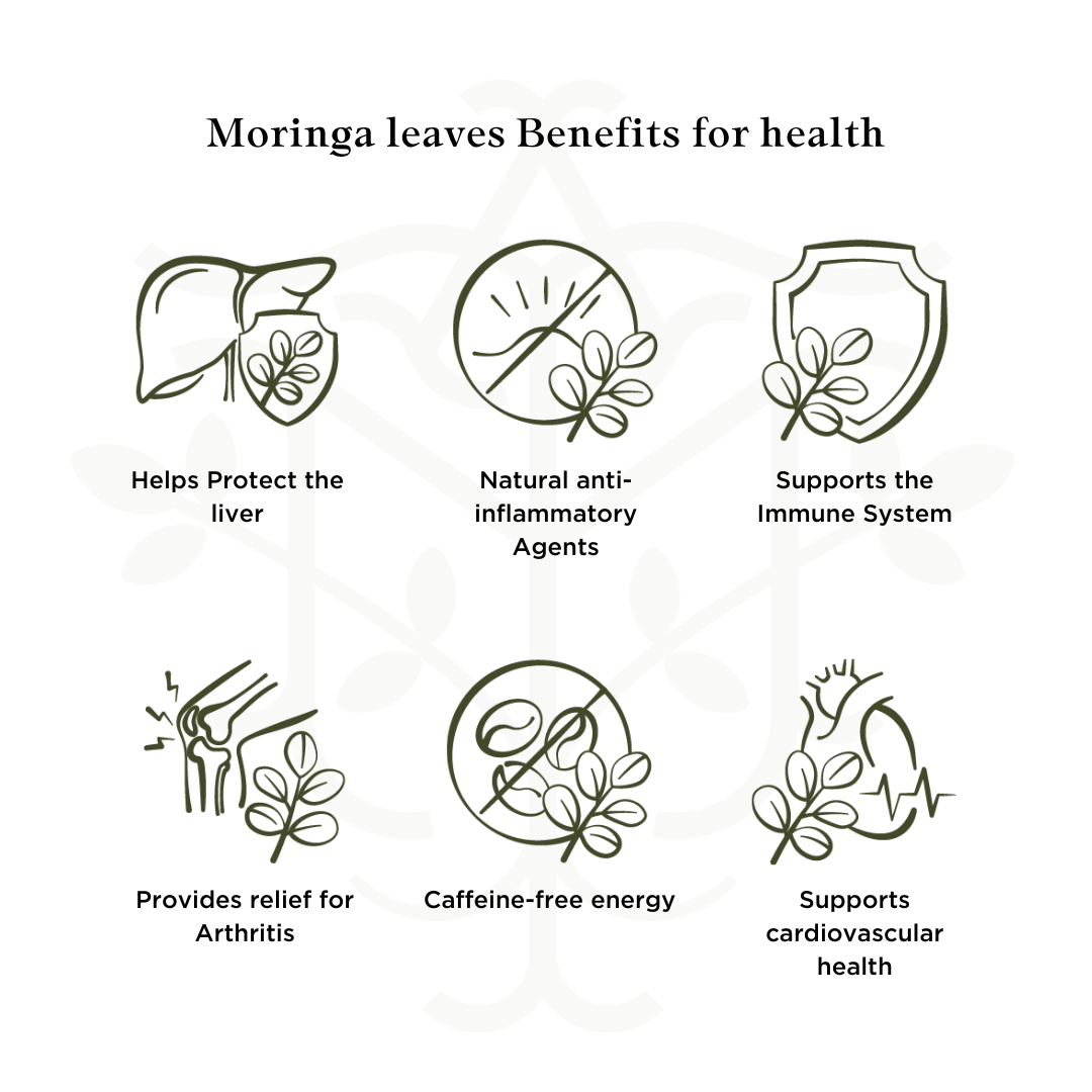 moringa capsules benefits for health and wellness