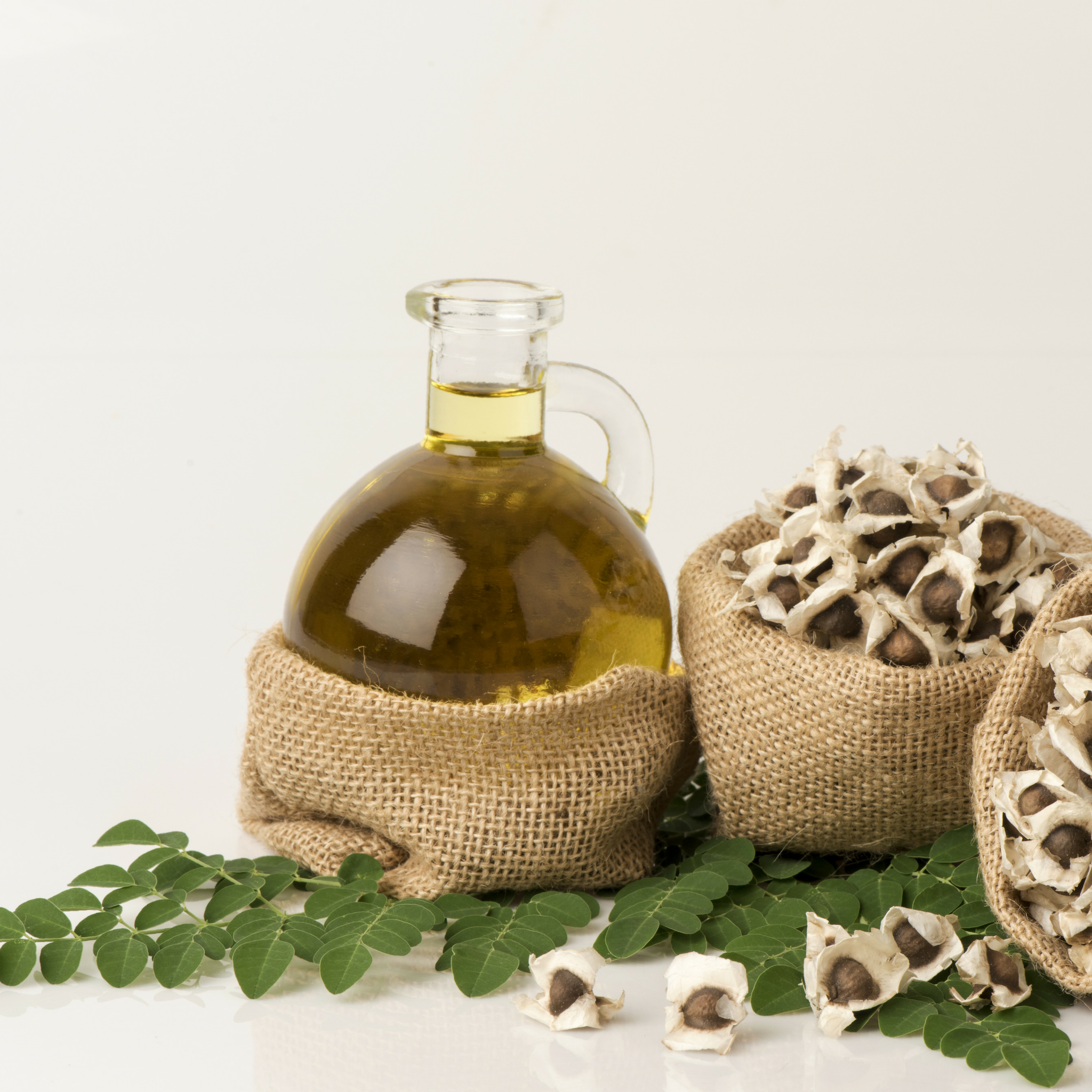 Top 10 Reasons Why You Should Start Using Organic Moringa Seed Oil for your Skin and Hair-All Moringa