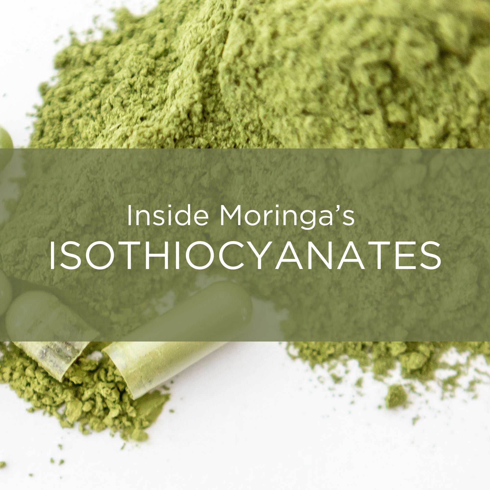 moringa leaves Isothiocyanates benefits