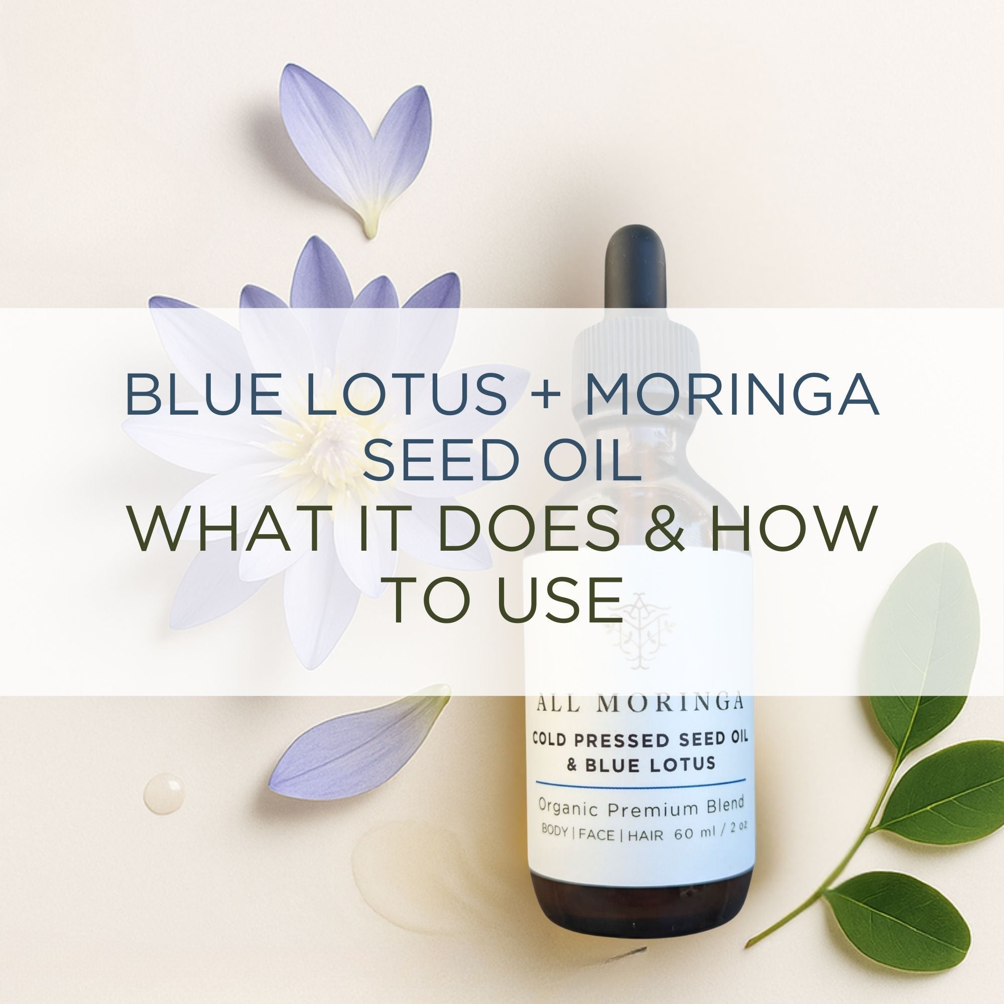 Amber dropper bottle of moringa seed oil beside a blue lotus flower and moringa leaves on a light