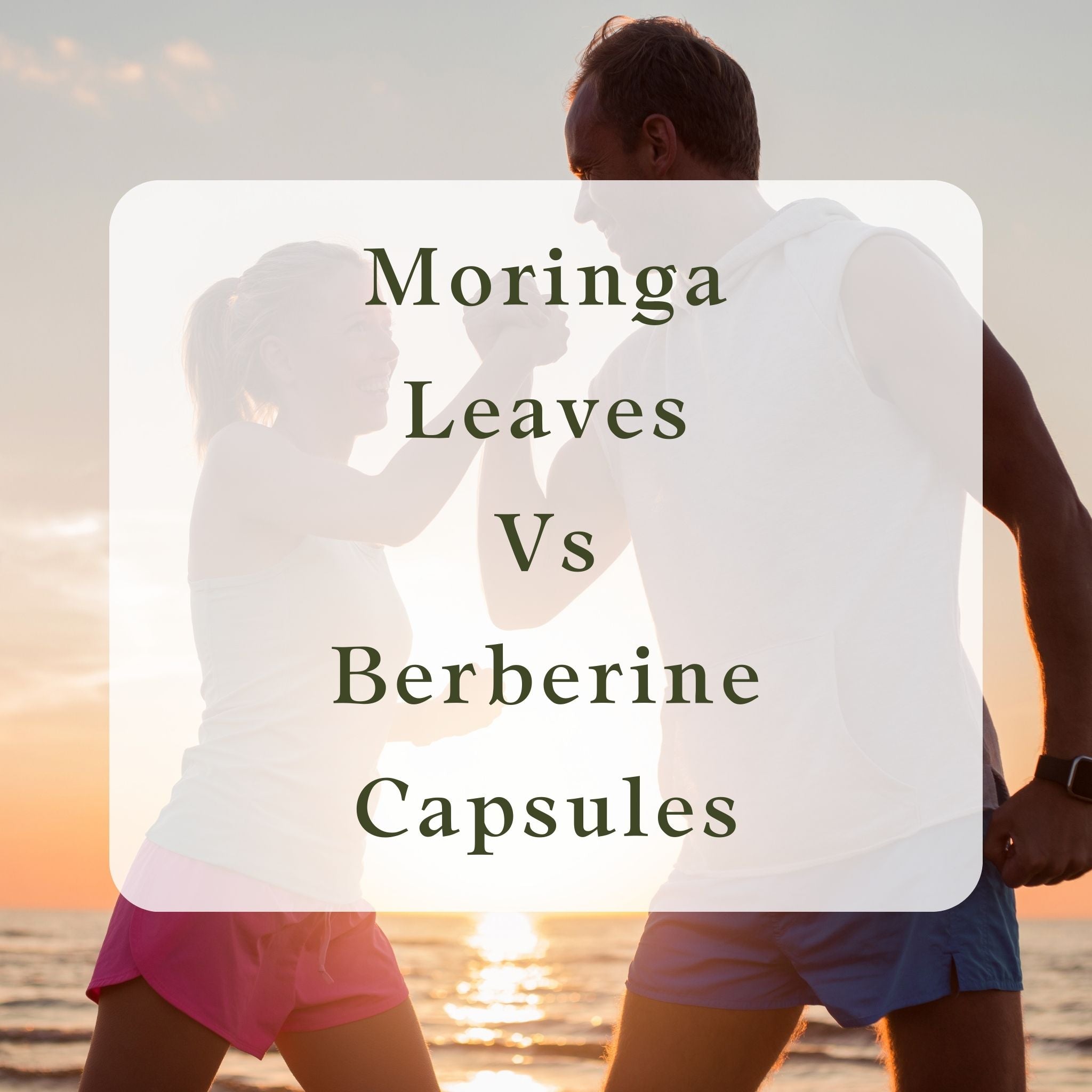 compere organic moringa leaves to berberine