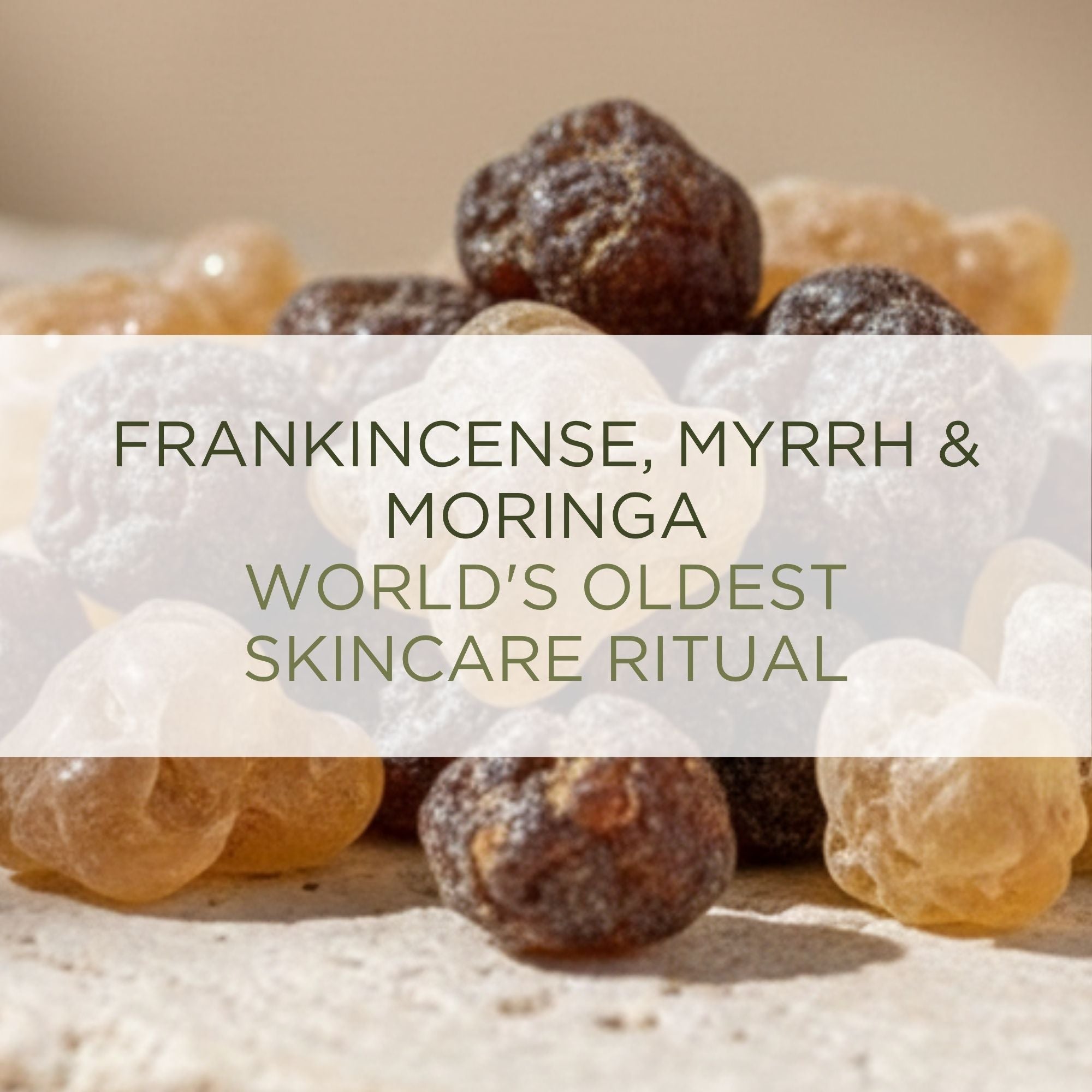 Real frankincense and myrrh resin used in Moringa regenerating treatment oil