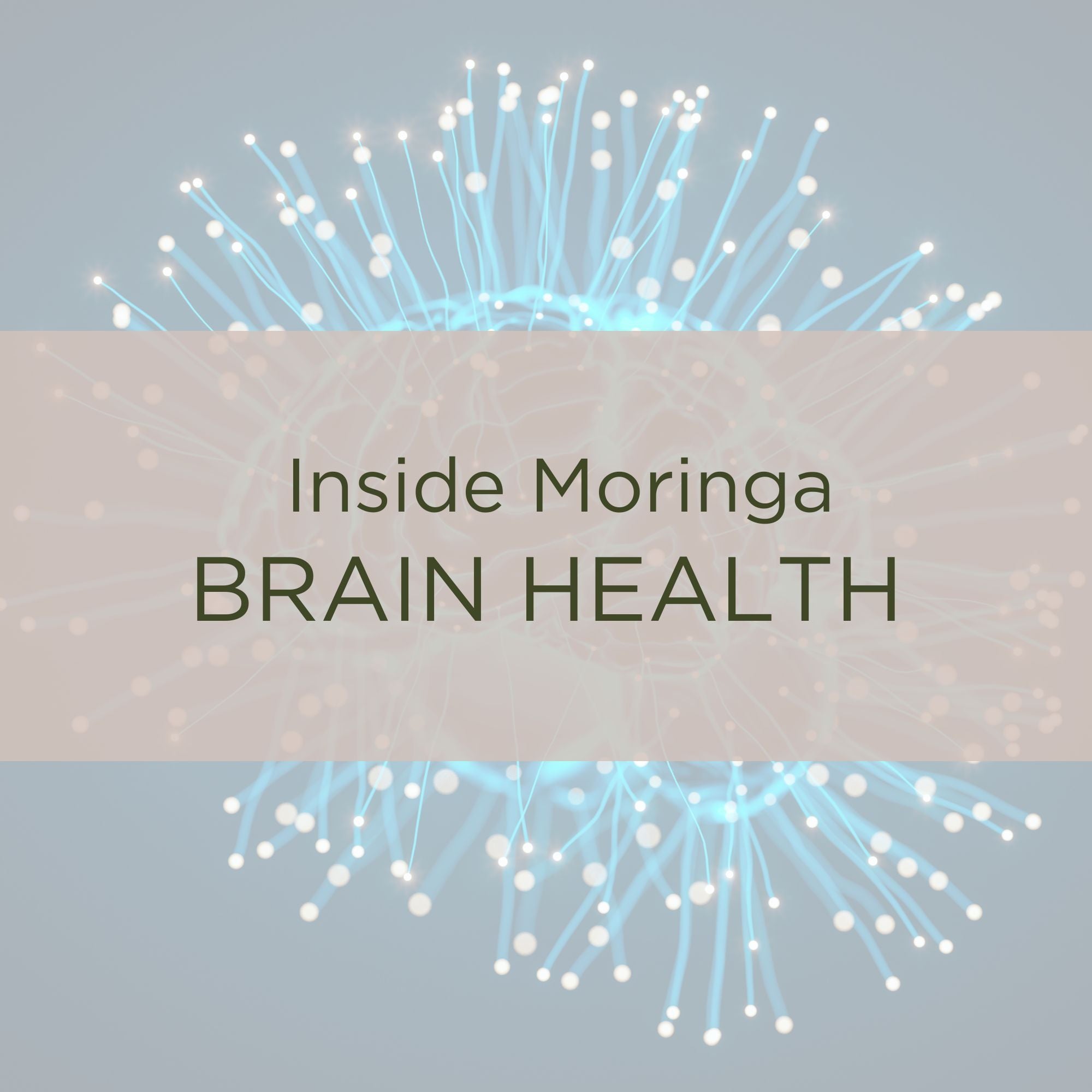 Moringa for Brain Health: Why We Believe in Its Promise (and Why You Might Too)
