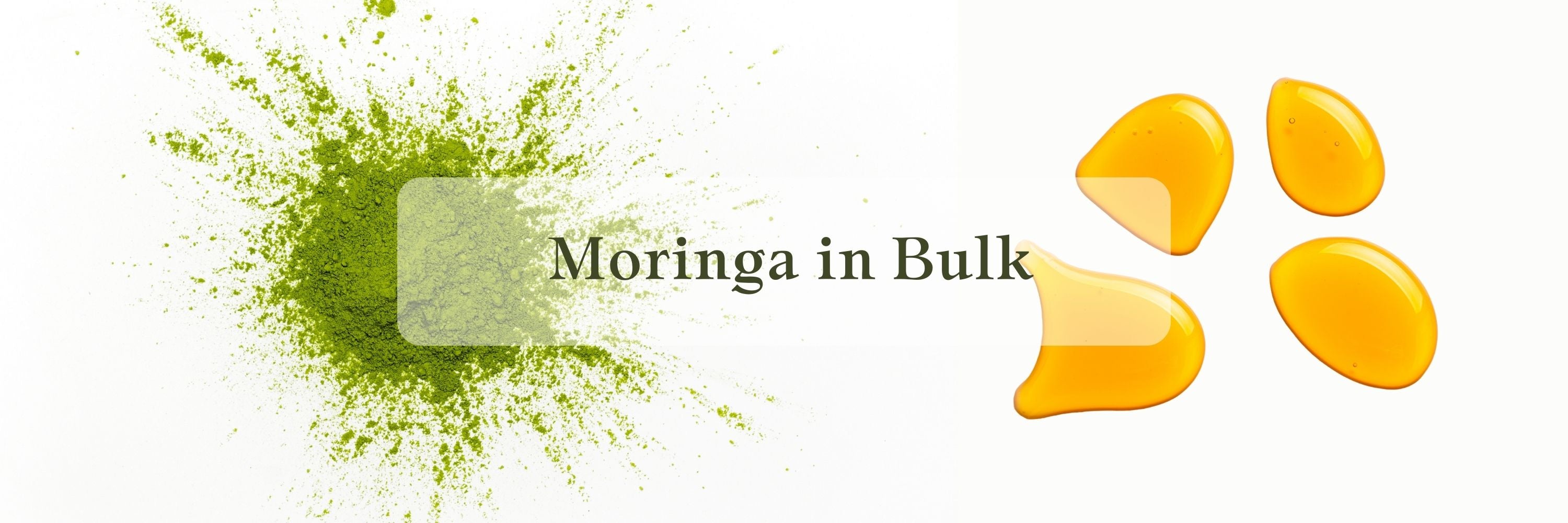 buy organic moringa in bulk