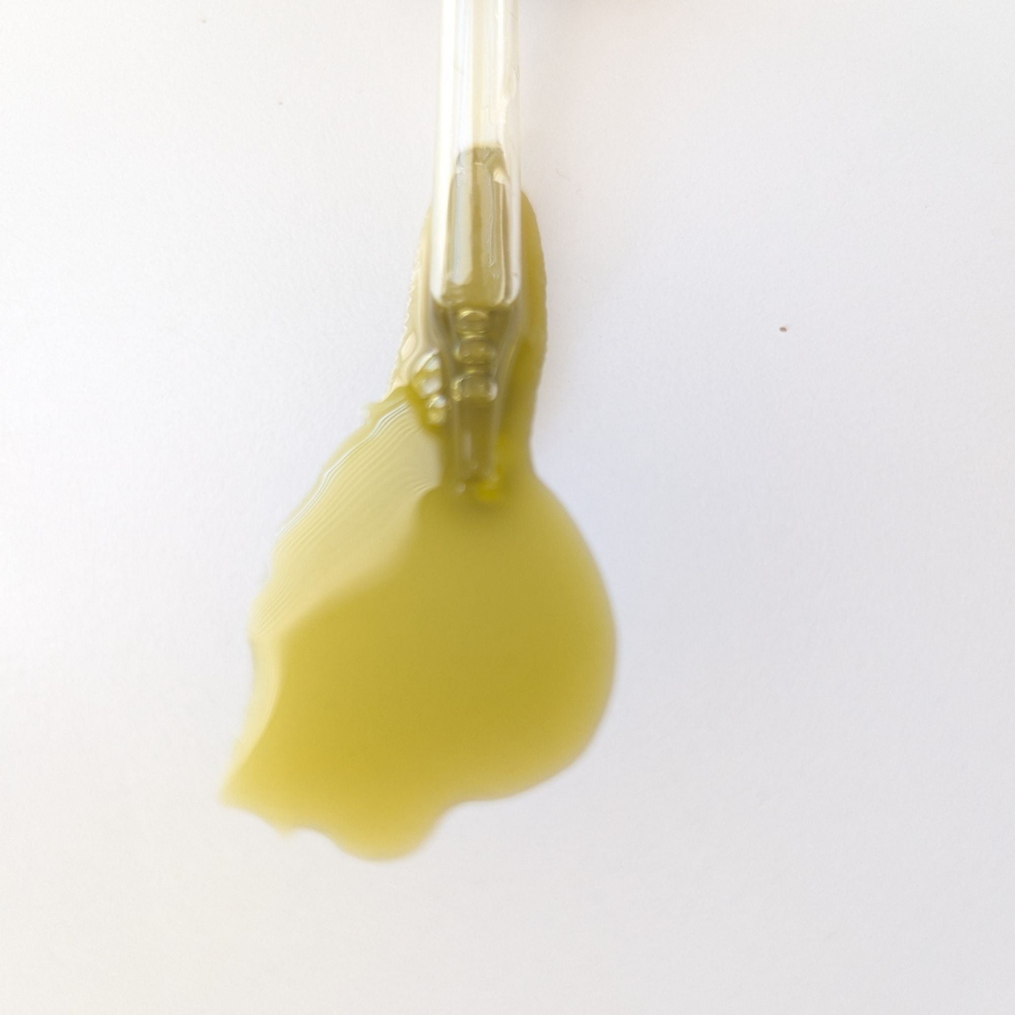 Close-up of a dropper with Green moringa seed oil infused with moringa powder liquid on a white background