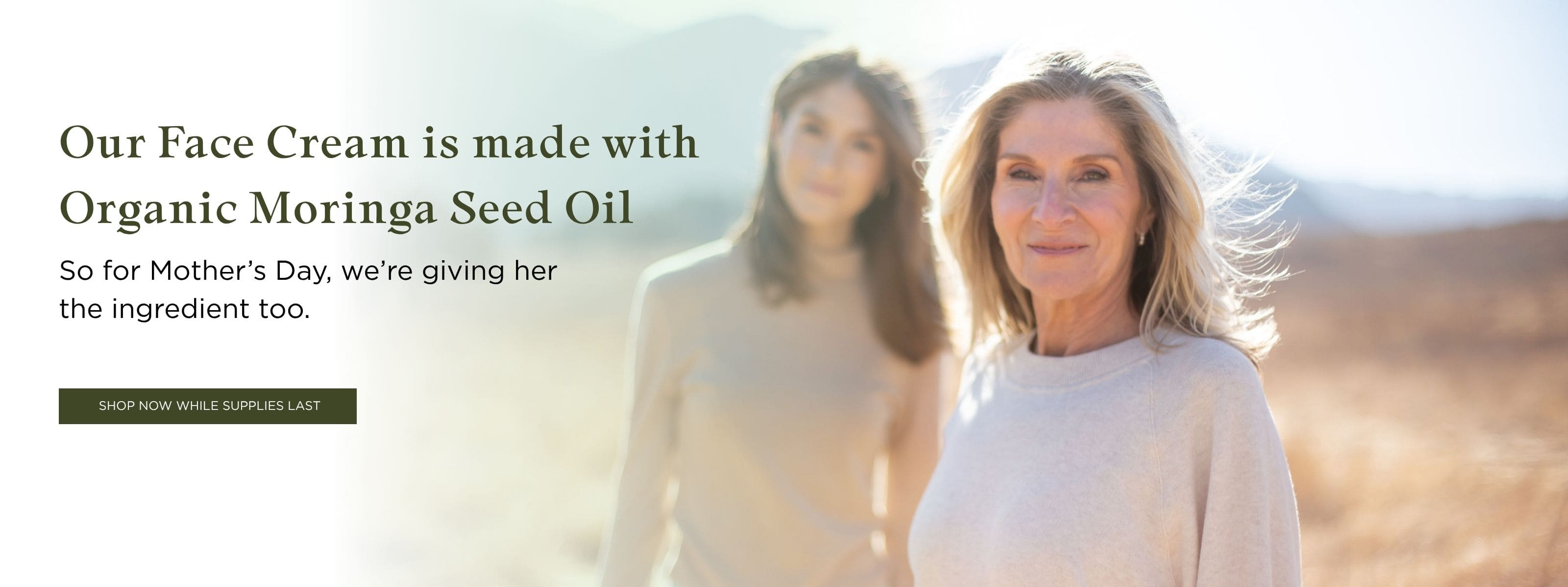Free moringa oil. With Moringa face cream. Banner for promotion Mother's Day. desktop