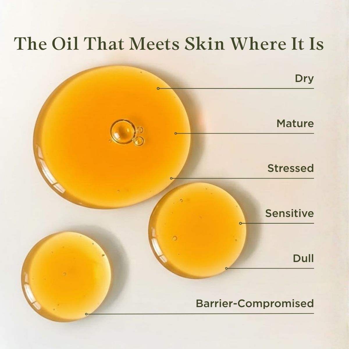Three droplets of Moringa Frankincense oil labeled for different skin conditions on a light background.