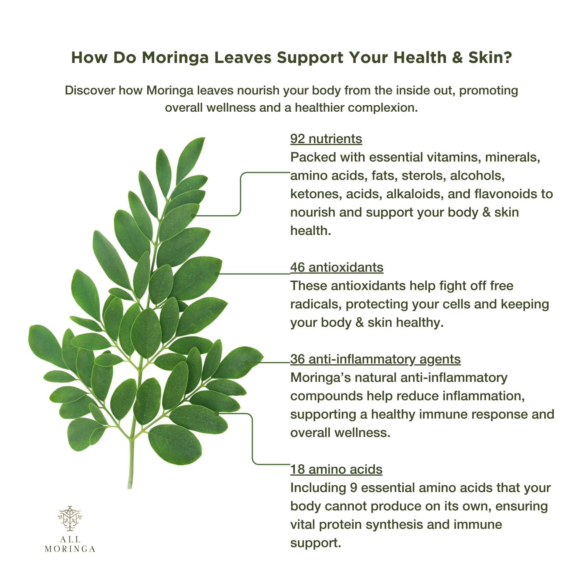 Discover how Moringa leaves nourish your body from the inside out, promoting overall wellness and a healthier complexion.