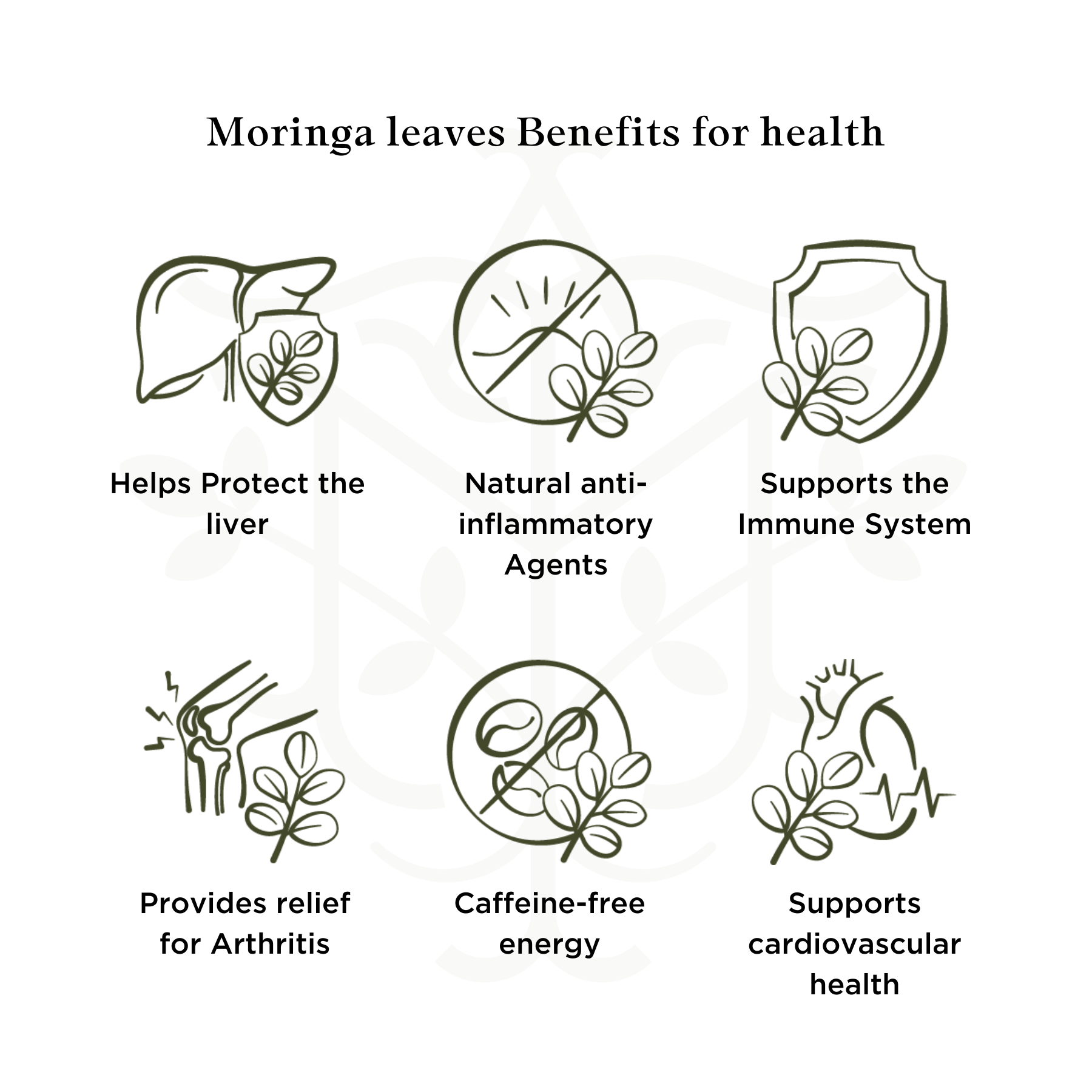 organic moringa leaf powder benefit helps protect liver and inflammatory immune system authorizes energy icons
