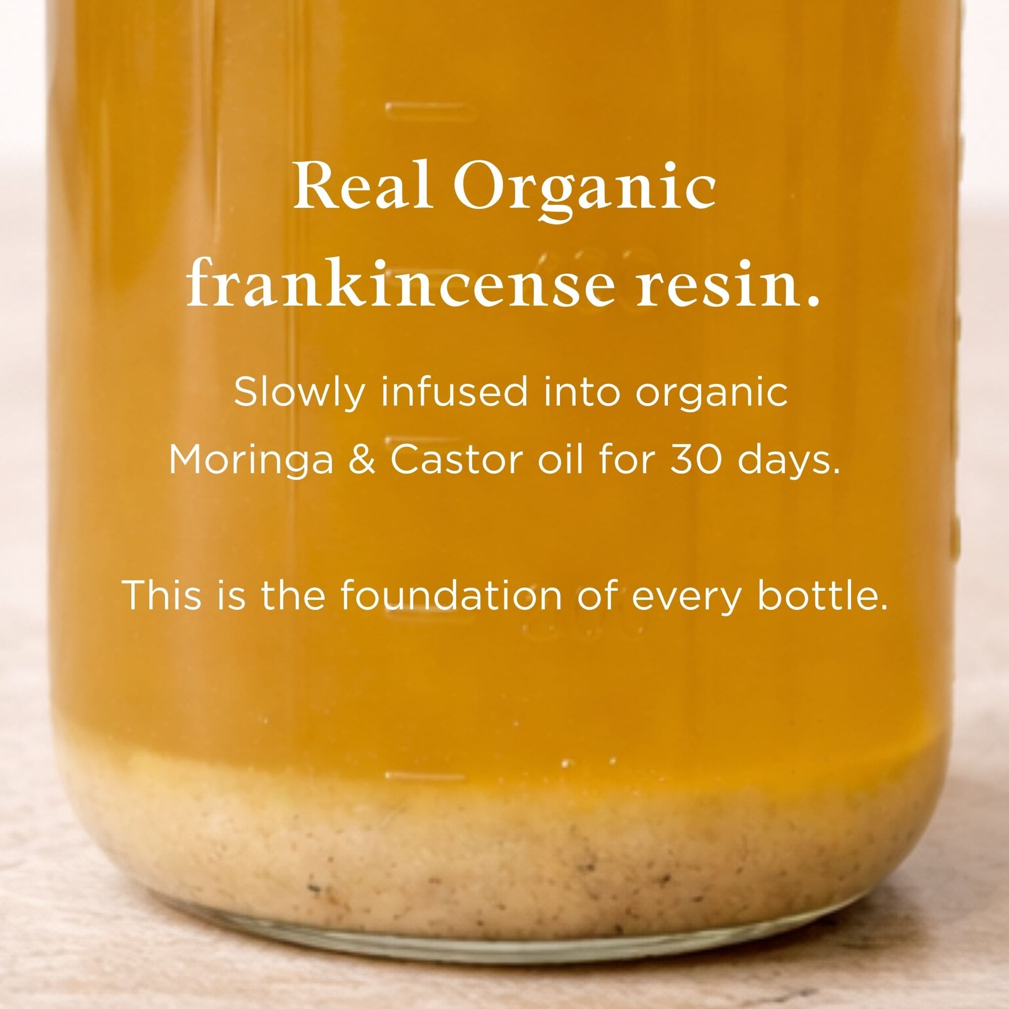 Moringa & Frankincense Regenerating Face Oil | All Moringa
