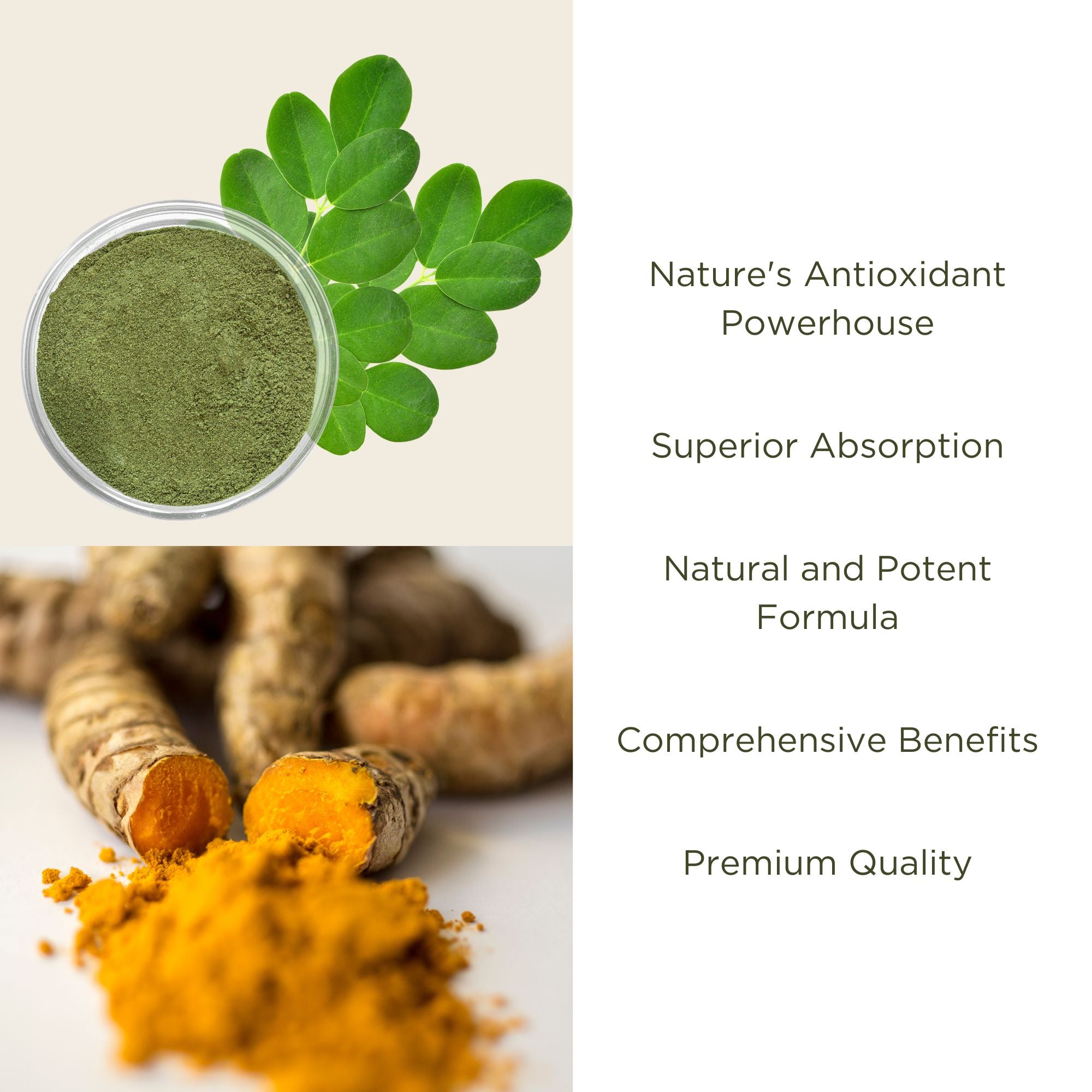 best turmeric curcumin Moringa capsules.