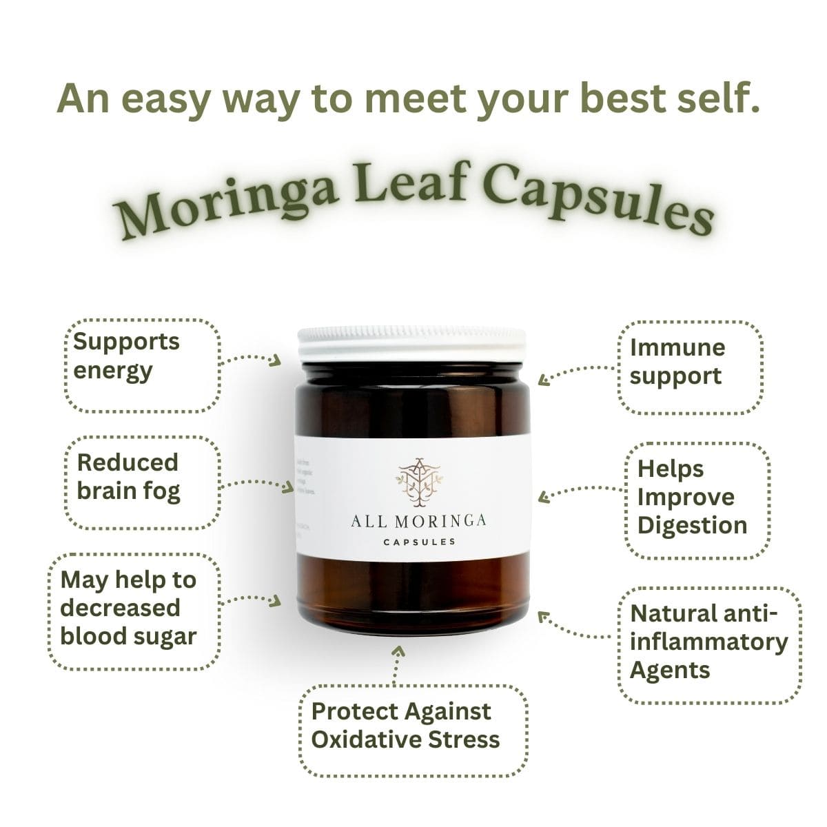 Moringa Leaf Capsules jar with benefits listed on a white background