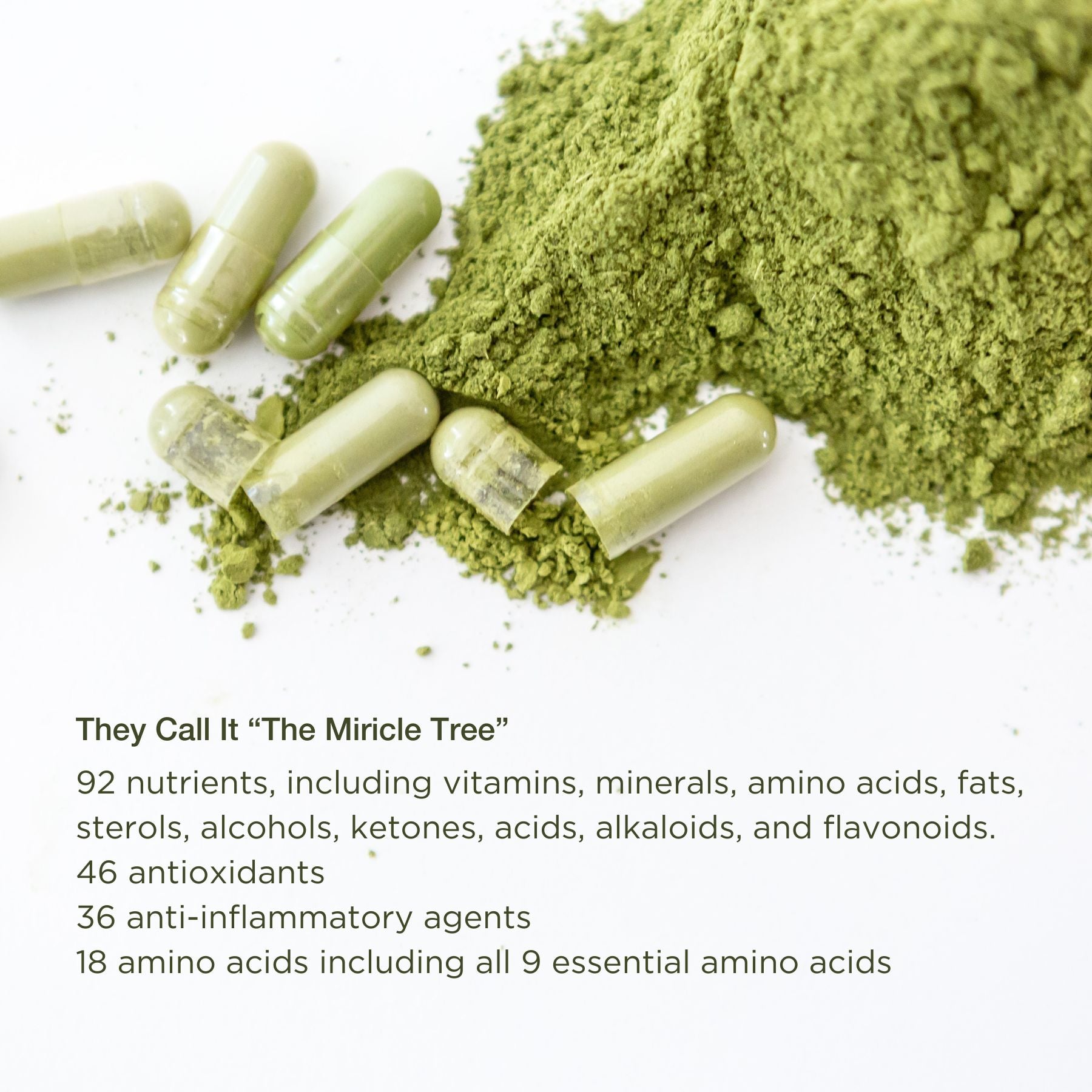 superfood organic moringa leaf powder in capsules for nutrition