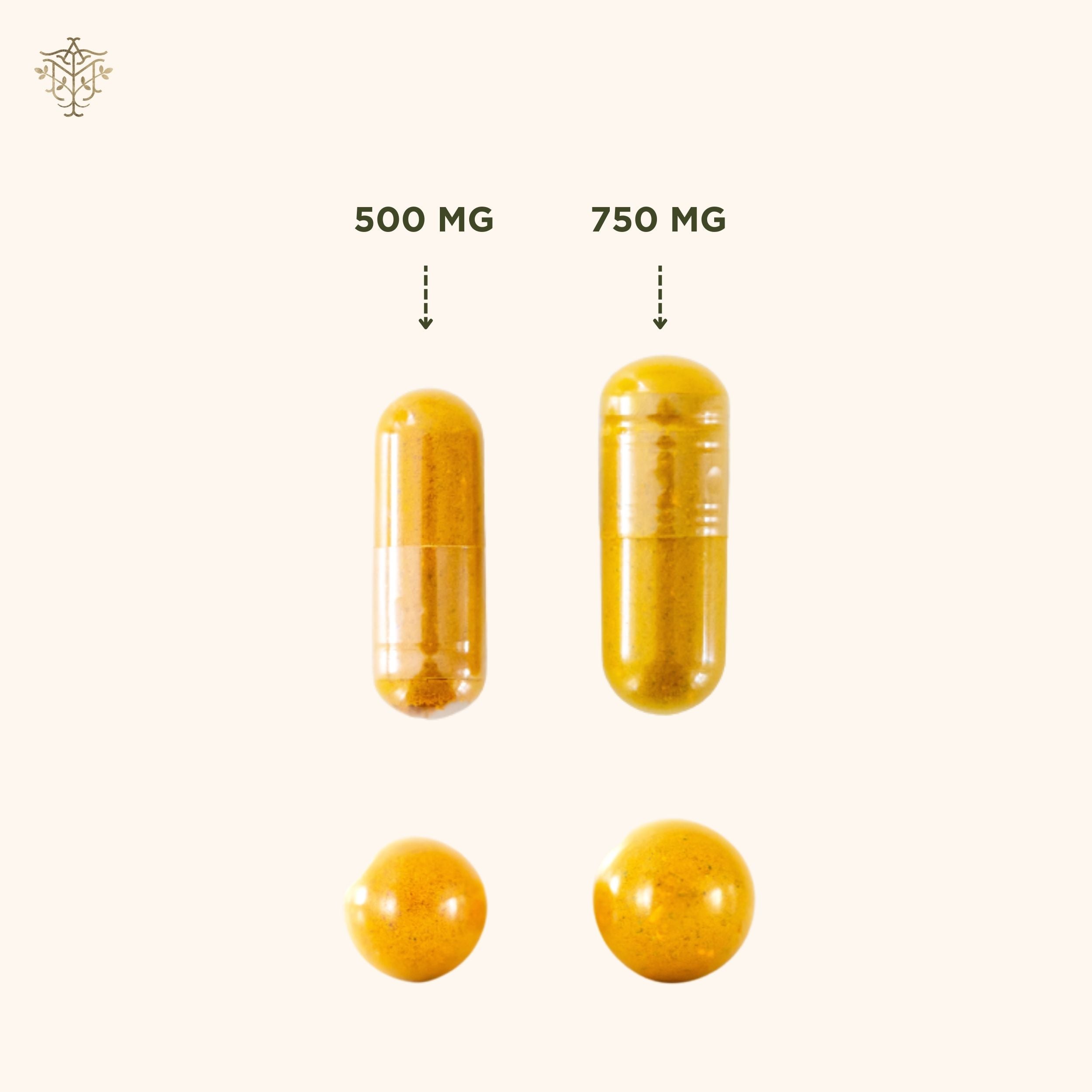 Moringa and turmeric capsules size chart