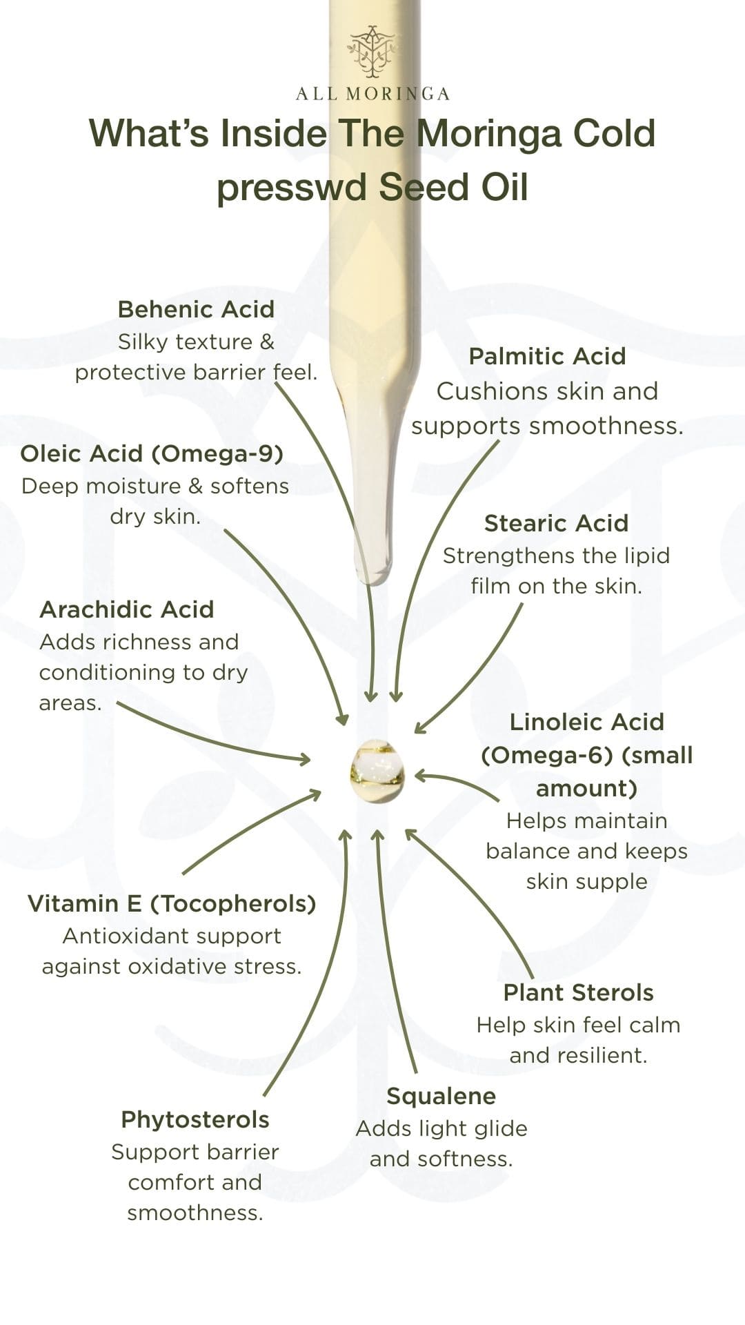 Diagram of the components inside organic Moringa cold-pressed seed oil with labels.