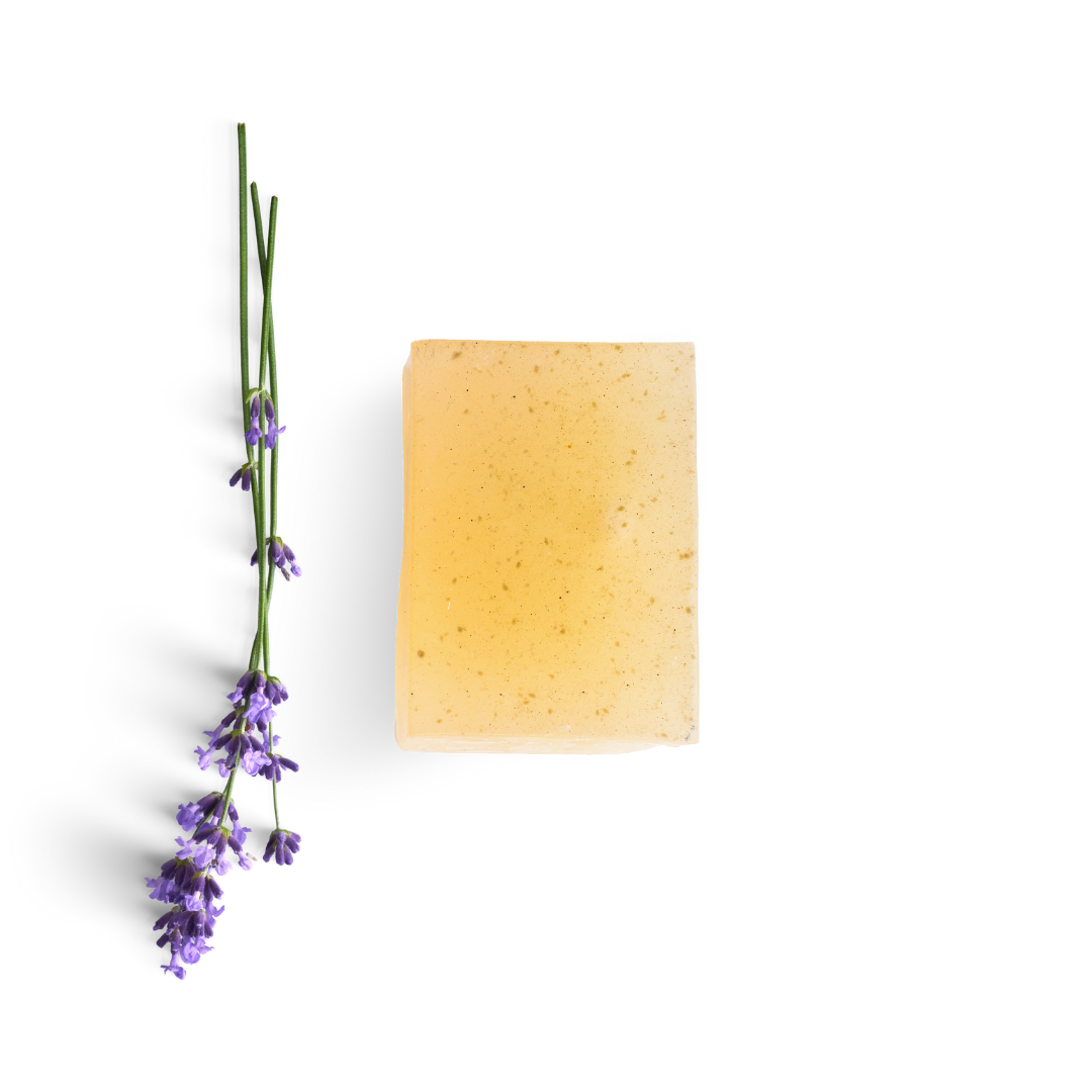 all natural moringa lavender soap bar